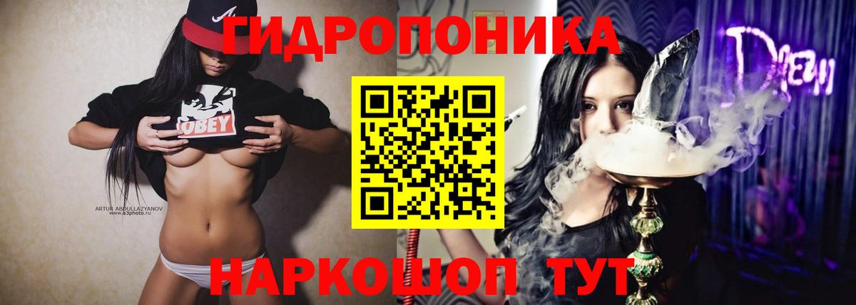 Конопля конопля Кашира